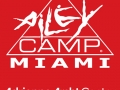 Ailey-Camp_slide-cropped-for-iron-on
